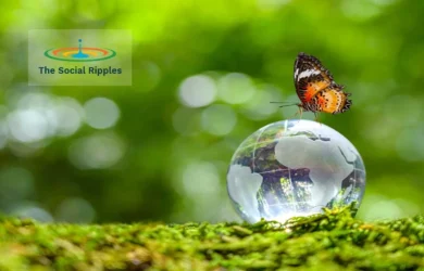 An aligned mission with United Nation SDG: Sustainable Social Development