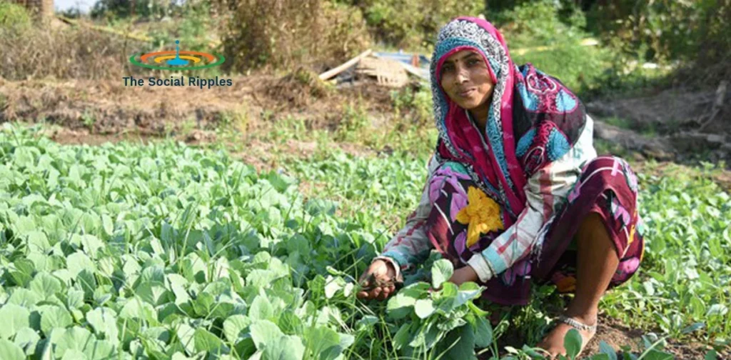 Female farmers- the backbone of India’s agrarian economy, yet the unnoticed lot