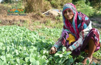 Female farmers- the backbone of India’s agrarian economy, yet the unnoticed lot