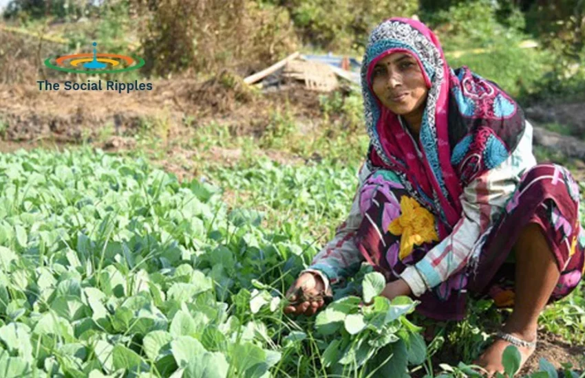 Female farmers- the backbone of India’s agrarian economy, yet the unnoticed lot