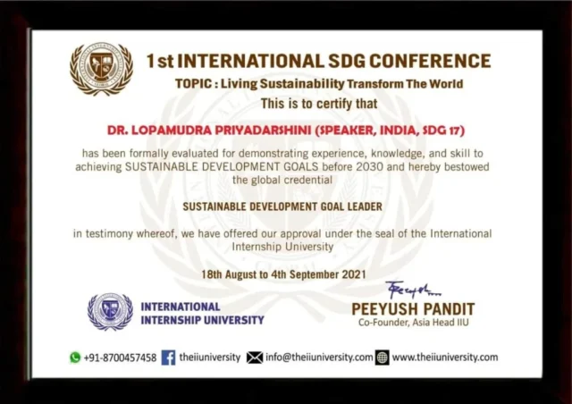 Sustainable Development Goal Leader, SDG-17
