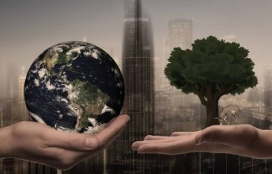 What are the components that cover sustainable development?