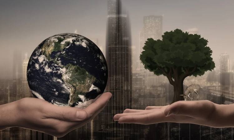 What are the components that cover sustainable development?